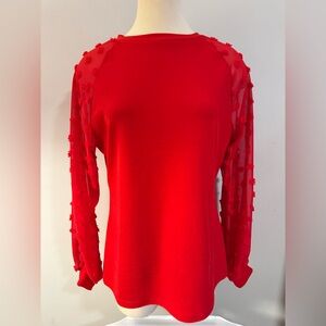 BNWT size M Red Long-Sleeve Crewneck Top with Textured Sheer Sleeves
